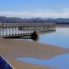 Nisqually Delta, Washington