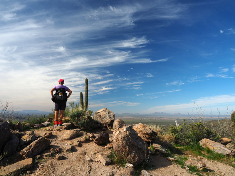 View southwest from a high point on the Alamo Springs Trail