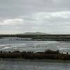 view of Coyote Hills from Eden Landing