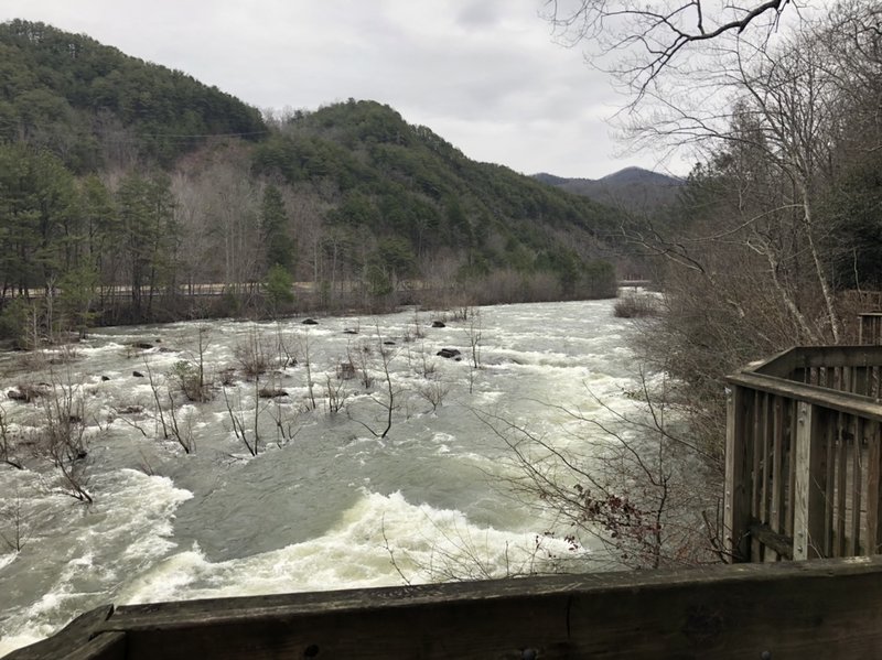 A view of the Ocoee River from the Rhododendron Trail.