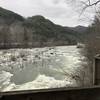 A view of the Ocoee River from the Rhododendron Trail.