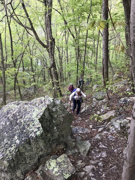 Portions of the trail are very steep.