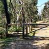 Looking down the Old Kinglake Road