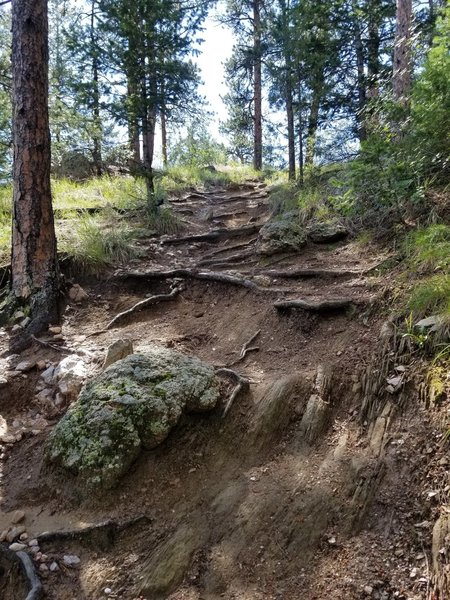 Crosier Mountain Trail from Garden Gate.