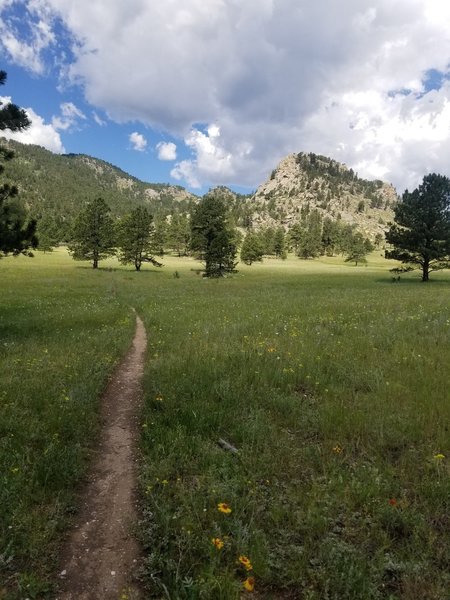 Crosier Mountain - smooth meadow after the first climb.