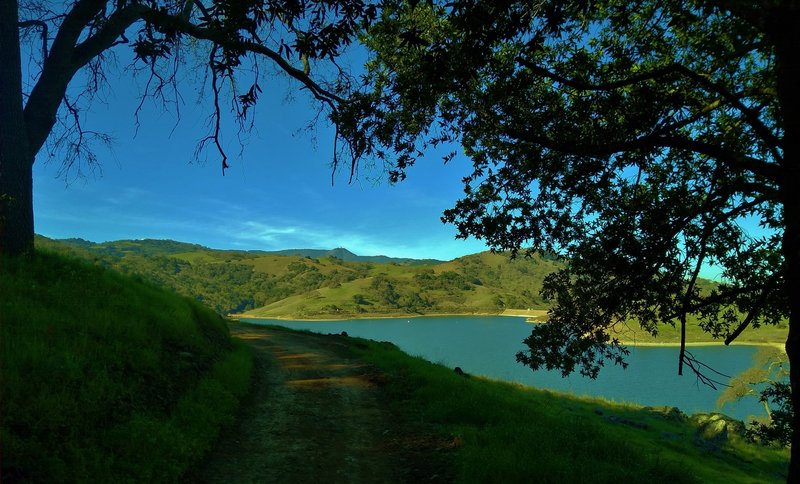 Calero Reservoir on the right, the Santa Cruz Mountains in the far distance with Mt Umunhum at 3,488 ft. center left, seen to the west-southwest when emerging from a wooded section of Oak Cove Trail.