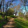 Oak Cove Trail is beautiful as it runs through a shaded section on a clear February day.