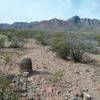 View of  Franklin Mountains from the trail