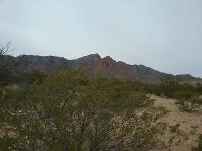 View of  Franklin Mountains from the trail