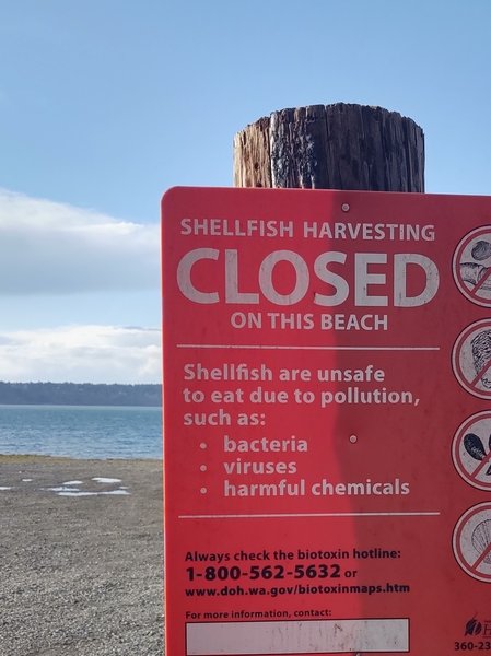 Solo Point Shellfish Harvesting warning