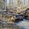 Initial creek crossing on north trail.