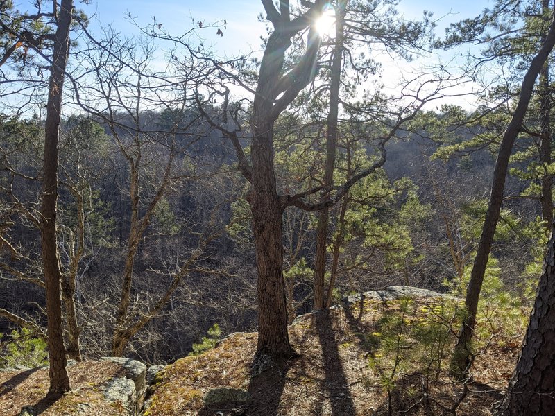 Overlook on south trail.