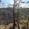 Overlook on south trail.