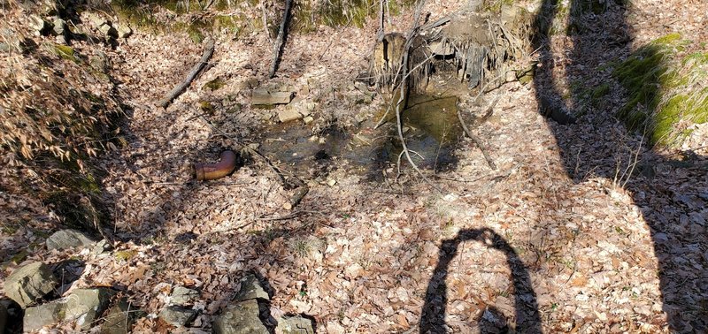 Remnants of cellar and foundation from former farmstead of Hall and Debus families