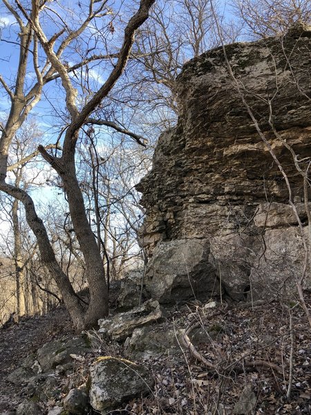 Lots of places for critters to live between all these big rocks!