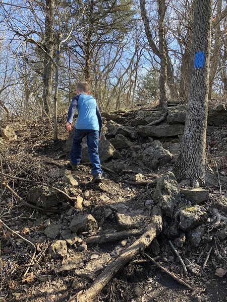 There's a lot of short, rocky, 8' climbs in just the first mile of trail.  Be sure to wear proper hiking boots.