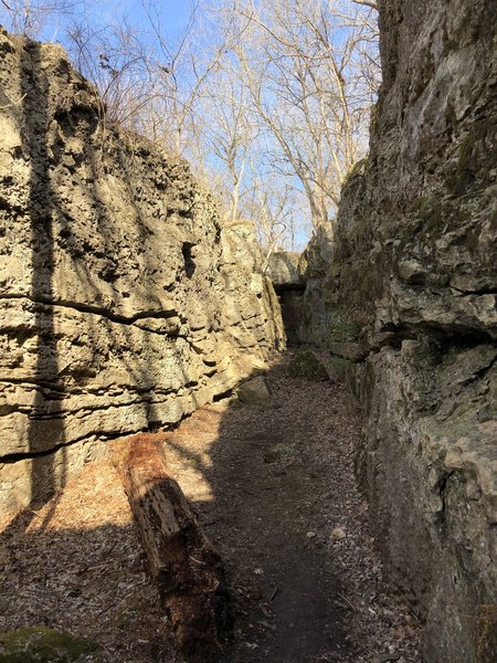 This is a neat "hidden" area of the trail.  The trail looks to go in front of the ledge of rocks, but you can go between a couple of rocks to get back in here.  It's blazed to indicate it's trail, it's just easy to miss.