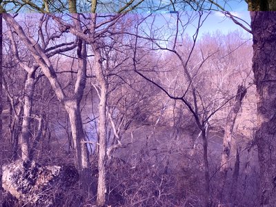 overlooking the Elk River