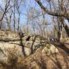 The trail wraps around lots of neat rock formations!