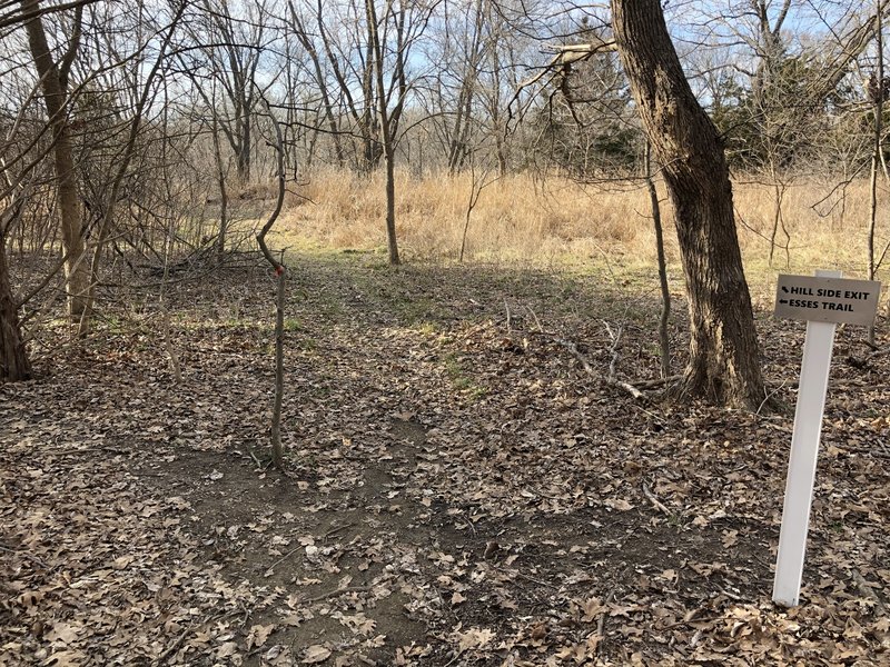 This is where you can exit Hillside Trail and go back down to the Mainline trail, or you can start the Esse's Trail.