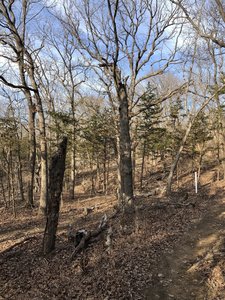 There's a lot of climbing on the Esse's Trail, be prepared