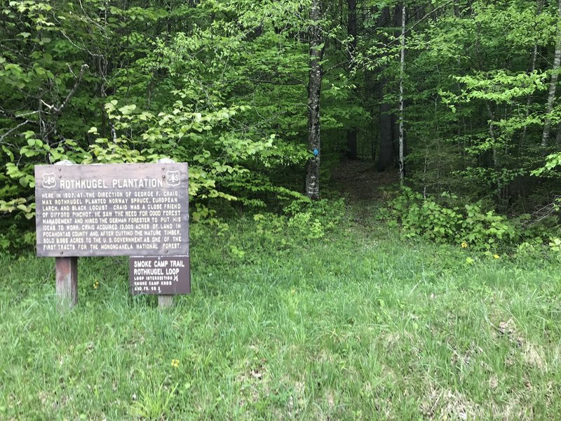 This sign can be seen from Rt 28 and signals the start of the Smoke Camp Trail.