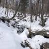 Wentworth Trail stream crossing