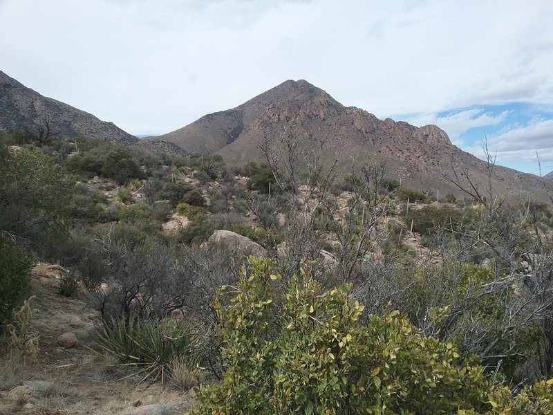 View of  Baylor Peak