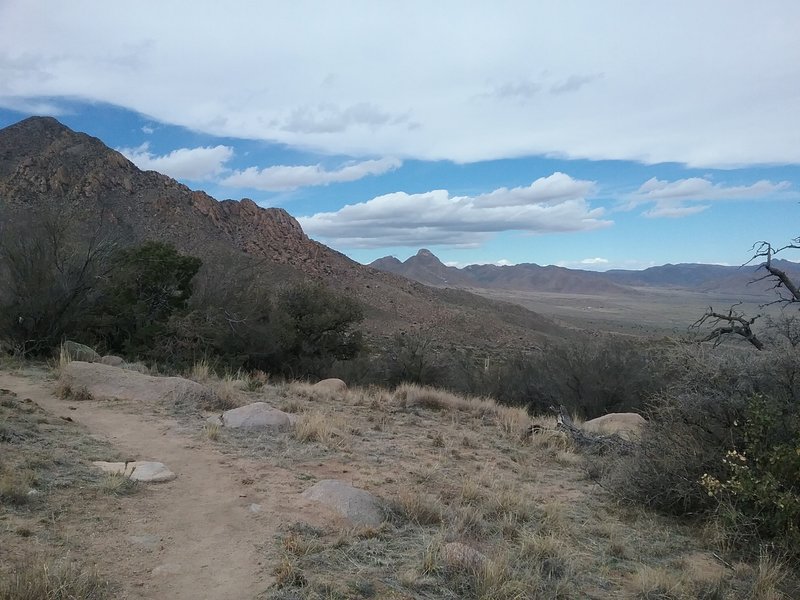 View of San Augustin Peak