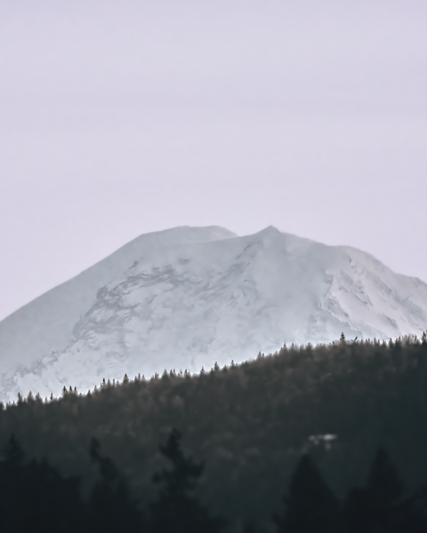 Mount Rainier on the one clear day this Winter