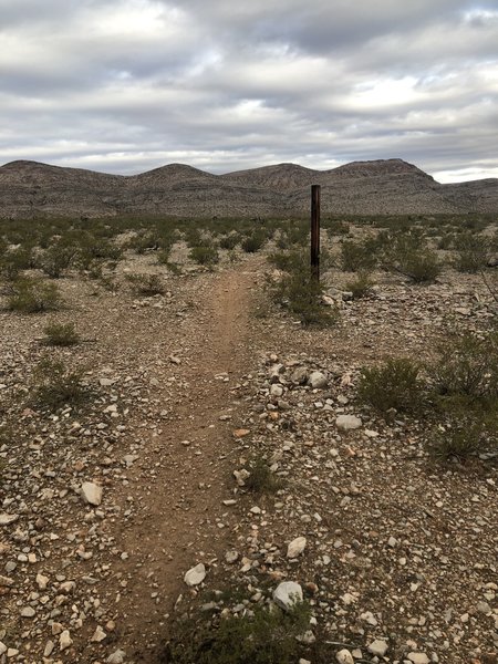 This portion of the trail can be a bit hidden so just look for this wooden post and run to it and you'll see the trail.