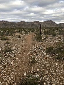 This portion of the trail can be a bit hidden so just look for this wooden post and run to it and you'll see the trail.
