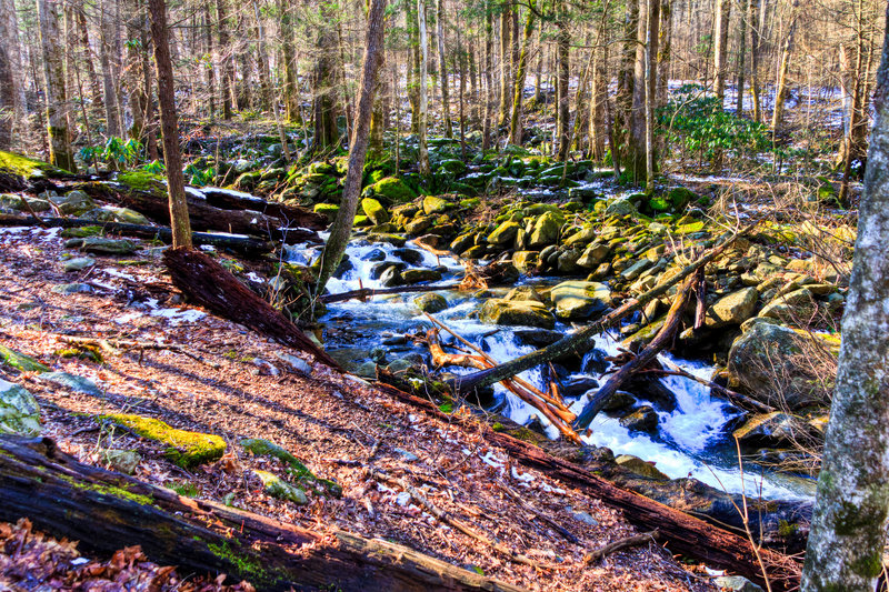 Great Smoky Mountains National Park - Rainbow Falls Trail