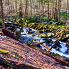 Great Smoky Mountains National Park - Rainbow Falls Trail