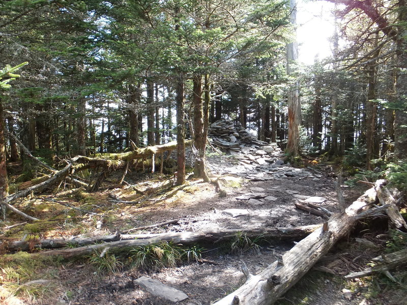 Hilltops, the summit of Mount Le Conte