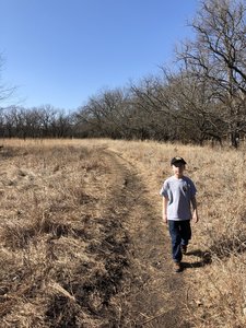 There are a lot of sections in this park that are open prairie and then woods. It's a neat combination.