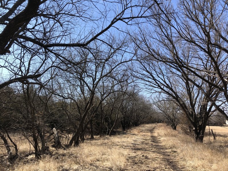 This section is a connection between the north-south trails and there's lots of potential to see deer and other critters here.