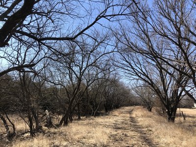This section is a connection between the north-south trails and there's lots of potential to see deer and other critters here.