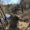 This section of trail collapsed into the creek last summer during all the flooding.  There's a go-around now.
