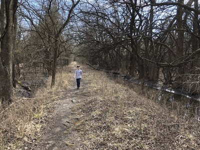 I looked at maps from 1887, 1943 and 1956 for the area and this was a road to a homestead!!  I'm excited to get a pic of the homestead location now that I know about where it is!!