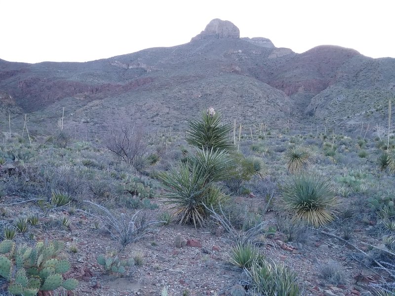 View of Mammoth Rock