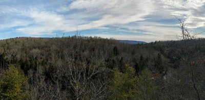 View from the observation area at the trailhead.