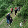 Hike through the woods