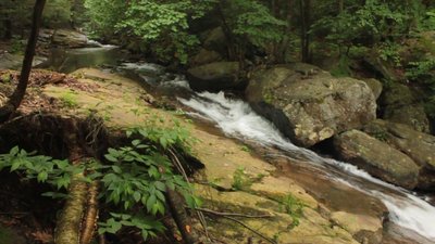 Stream + Boulders, 2009/06/27
