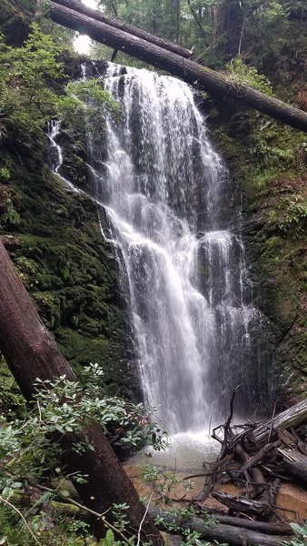 Berry Creek Falls in January 2020