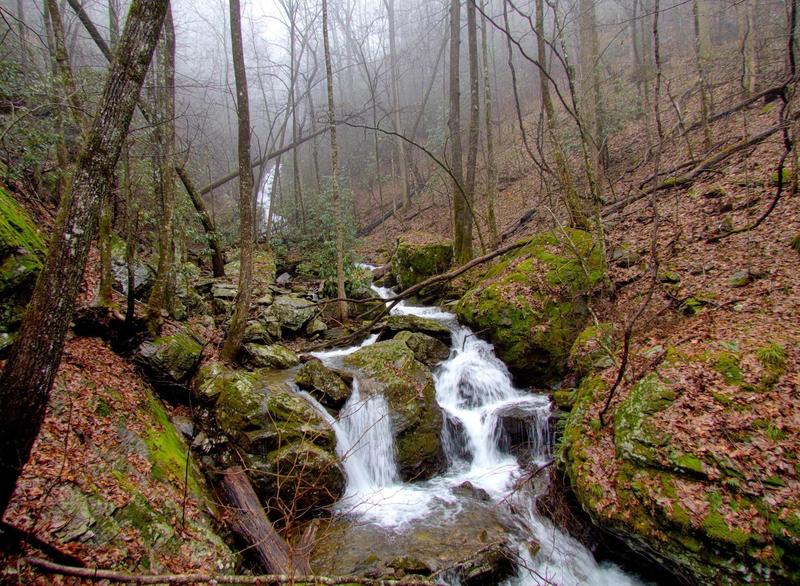 Hiking along the Beech Creek Trail on a foggy afternoon.