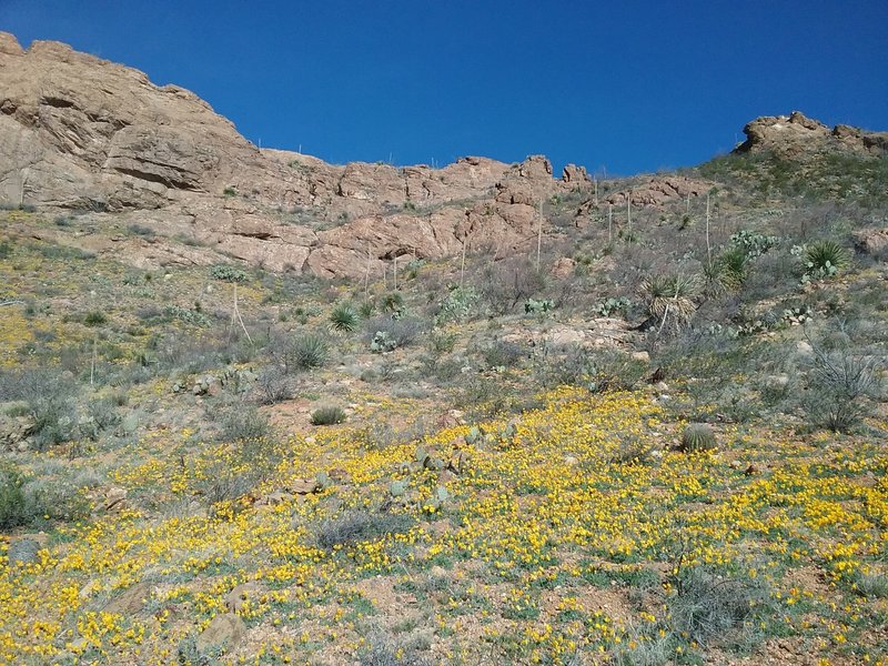 View of the arch from the trail.