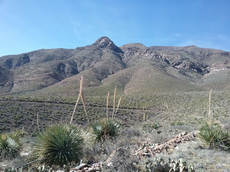 View of Indian Peak from the trail.