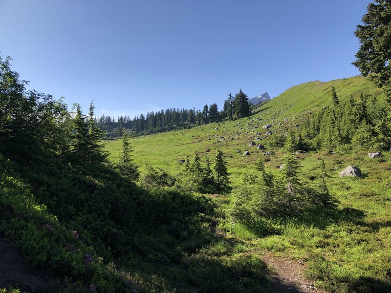 The meadows at the top of the climb on the Park Butte Trail.
