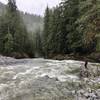 Looking into a canyon along the North Fork Quinault River